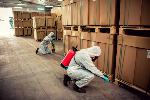 Best Affordable Exterminators  in Swepsonville, NC